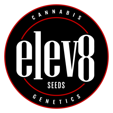Elev8 Cannabis Seeds