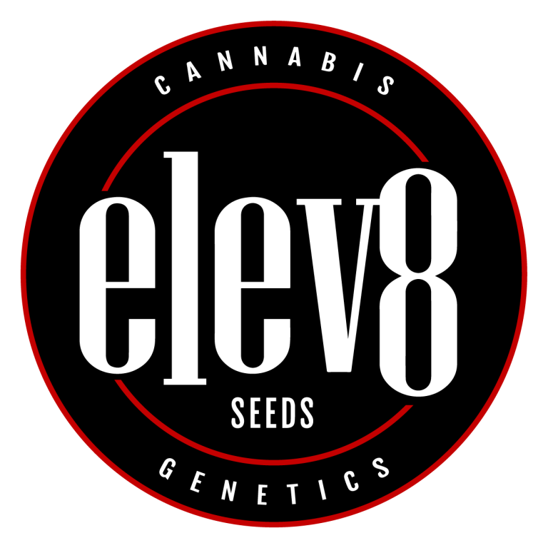Elev8 Seeds Cannabis Samen kaufen Elev8 Seeds Cannabis Samen kaufen