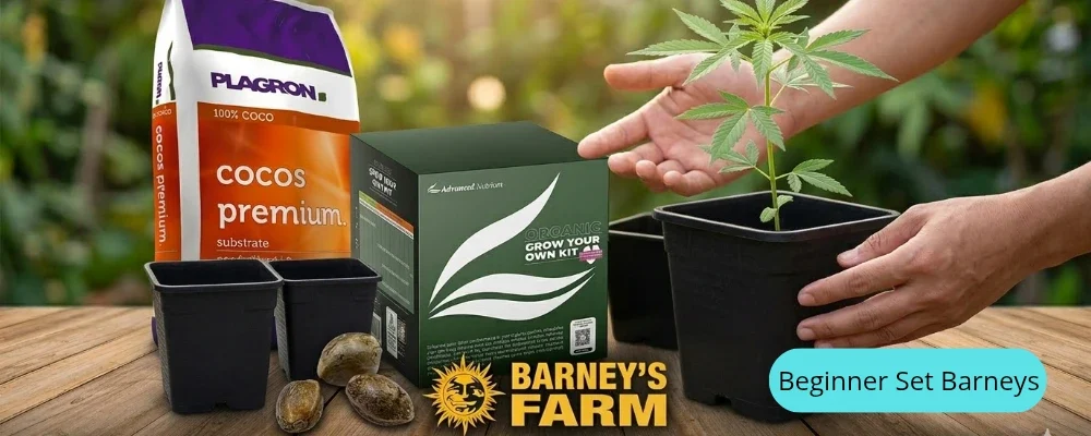 grow beginner set barneys