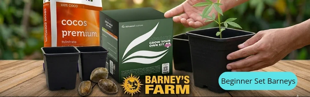 grow beginner set barneys