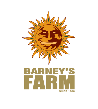 Barneys Farm Cannabis Samen