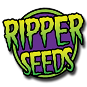 Ripper Seeds Cannabis Samen kaufen Ripper Seeds Cannabis Samen kaufen
